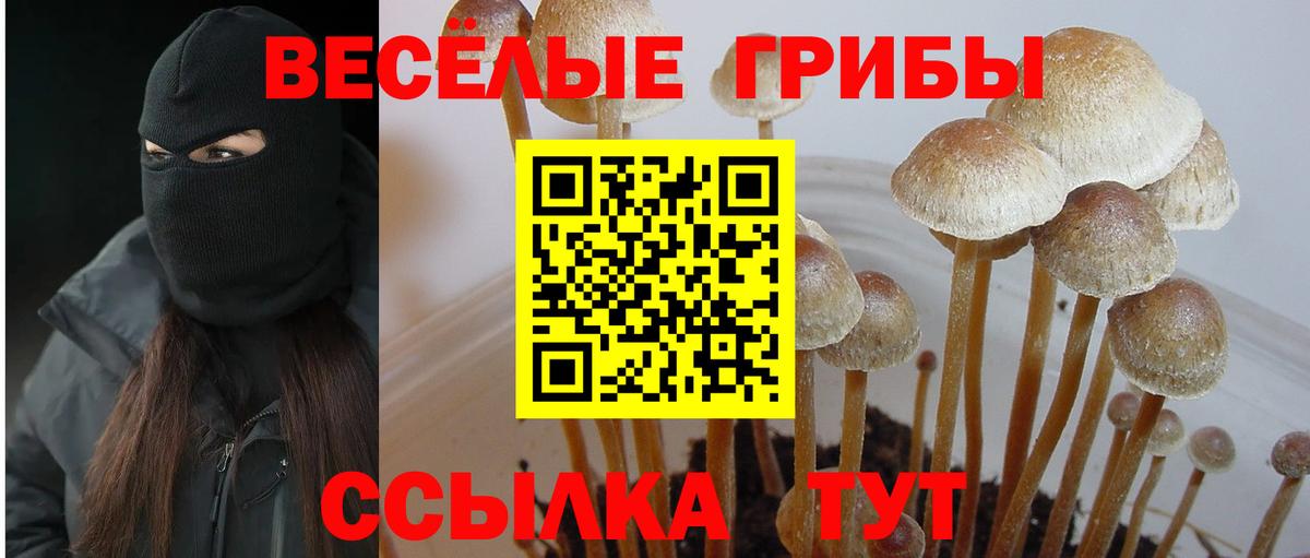 Псилоцибиновые грибы мицелий  Галлюциногенные грибы ЛСД  закладка  Маркс  Вход с VPN 