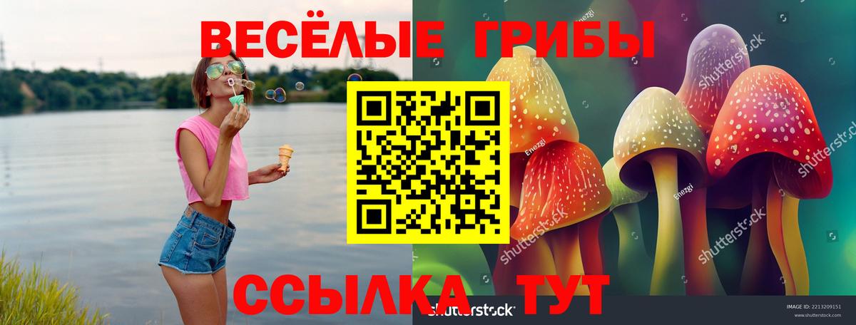 Галлюциногенные грибы Psilocybine cubensis Маркс